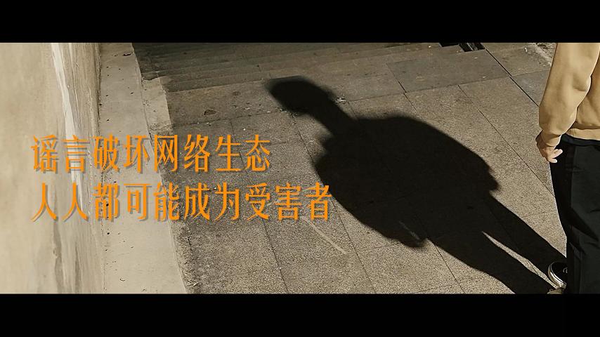 二等奖 《真相与谣言》
